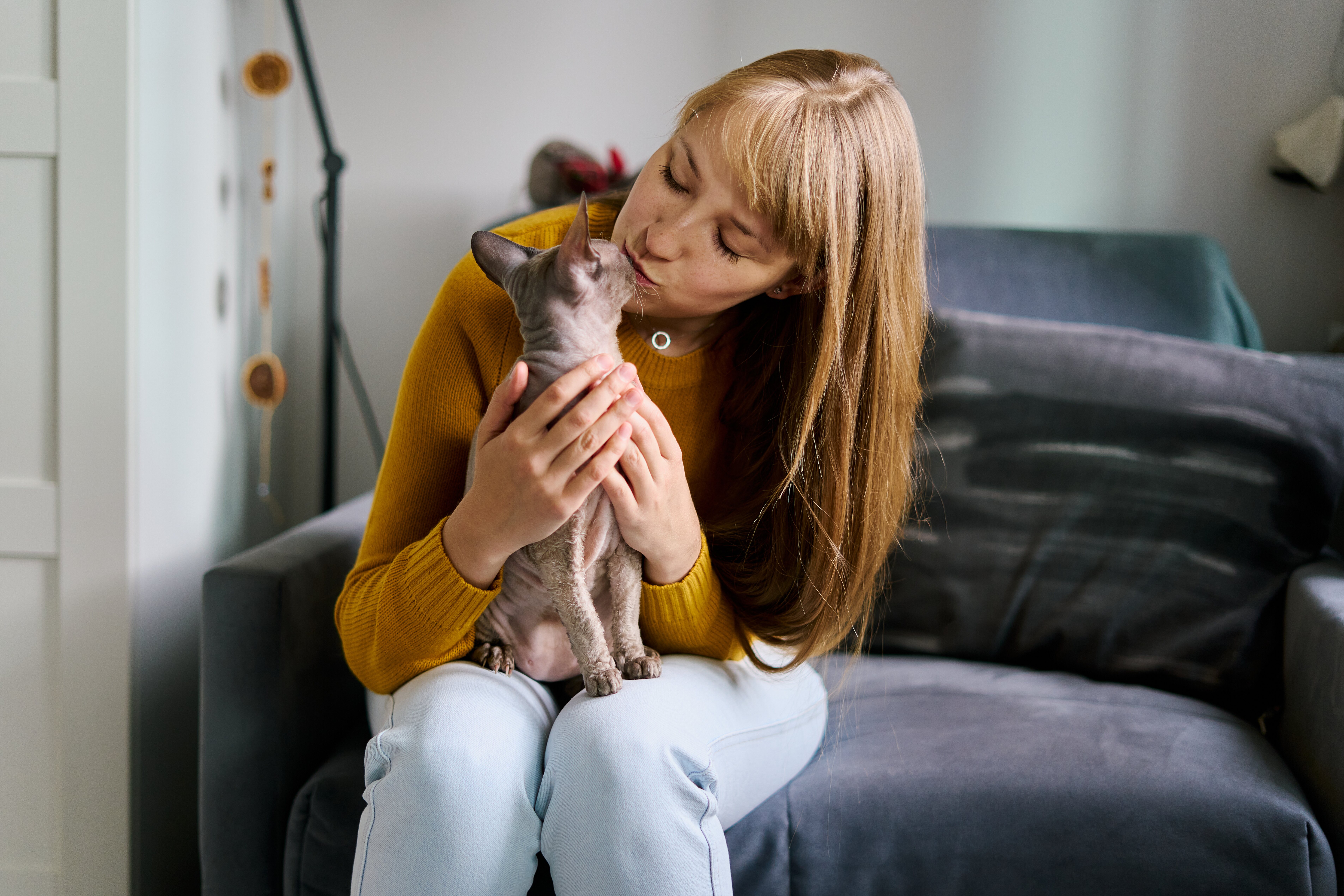 Recibir cariño y afecto es una estimulación muy positiva para tu gato