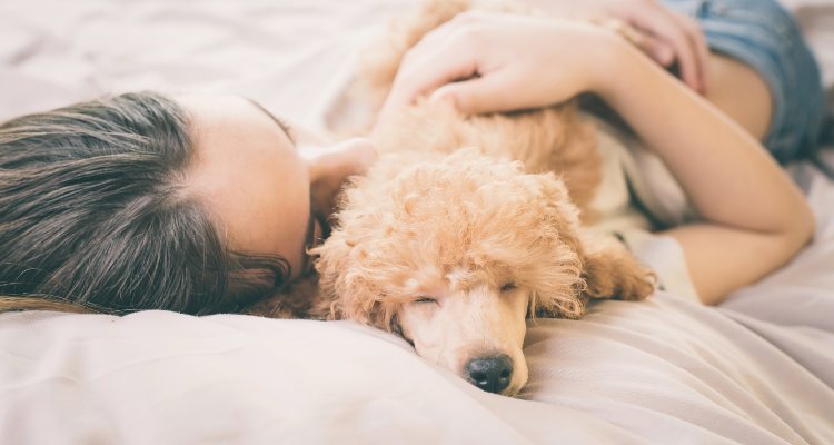 Es importante saber cuándo hay que acudir al veterinario