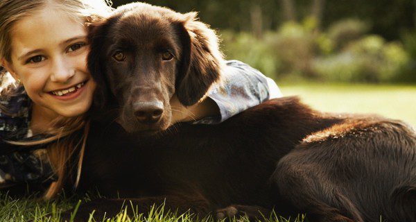 ¿Cómo convencer a tus padres para que se queden con el perro?