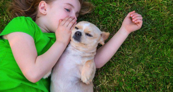 ¿Cuáles son las razas de perros más adecuadas para convivir con tus hijos?