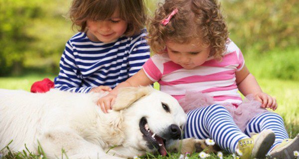  El perro será el mejor amigo de tus hijos