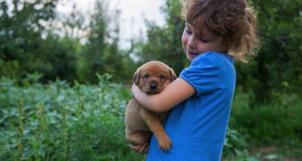  Ayuda a que tu hijo sea responsable con el animal