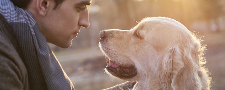 Aunque reciba amor, puede tener estrés