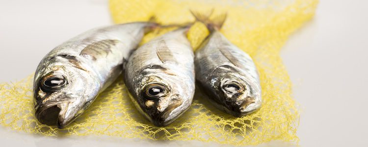 Comer pescado es muy importante para una dieta variada