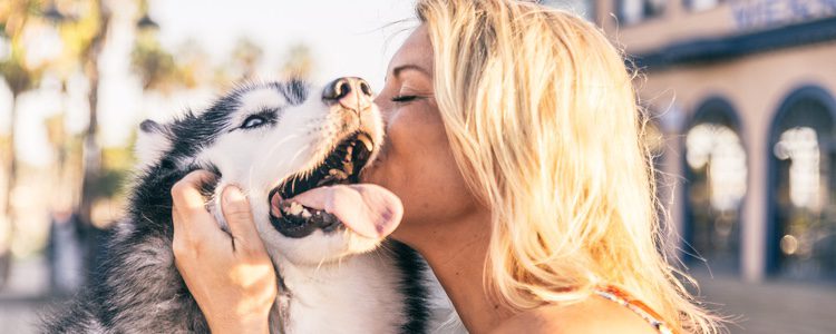 Se puede evitar el trastorno compulsivo prestando atención a nuestro perro y procurando que esté feliz y relajado