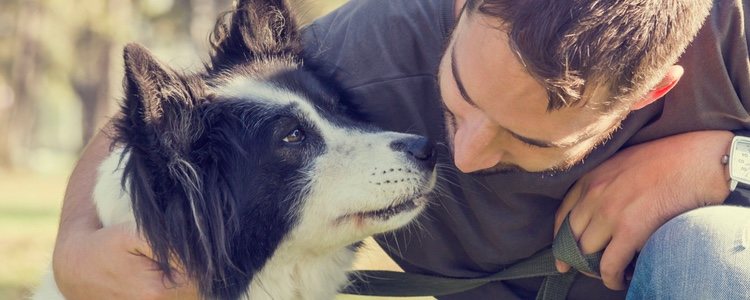 Es importante que un perro sepa comportarse ante ciertas situaciones, como puede ser la presencia de un desconocido