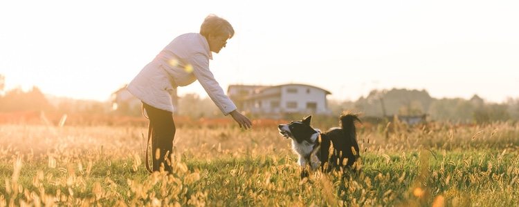 Una buena educación mejorará en vínculo entre tu mascota y tú