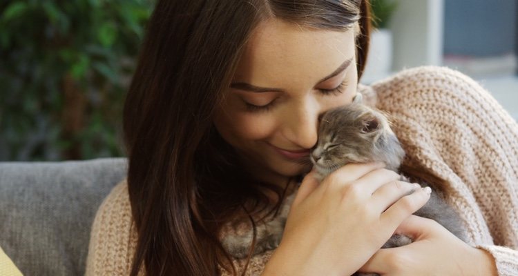 Los cuidados diarios de tu gato hay que vigilarlos