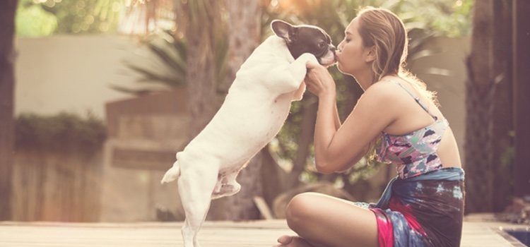 Algunas enfermedades pueden ser contagiadas de animales a humanos