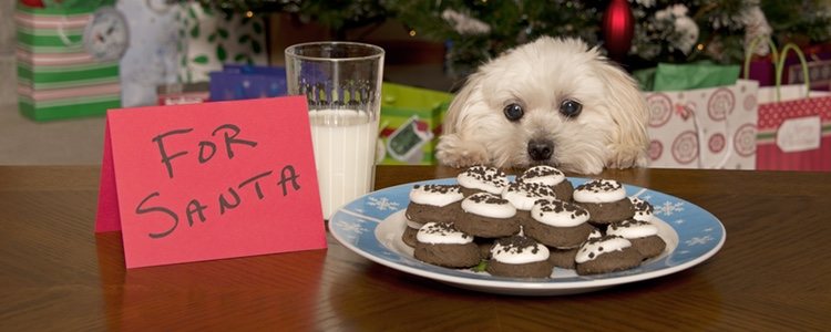 Las galletas de Navidad deben llevar la cobertura de yogurt natural sin lactosa ni grasas