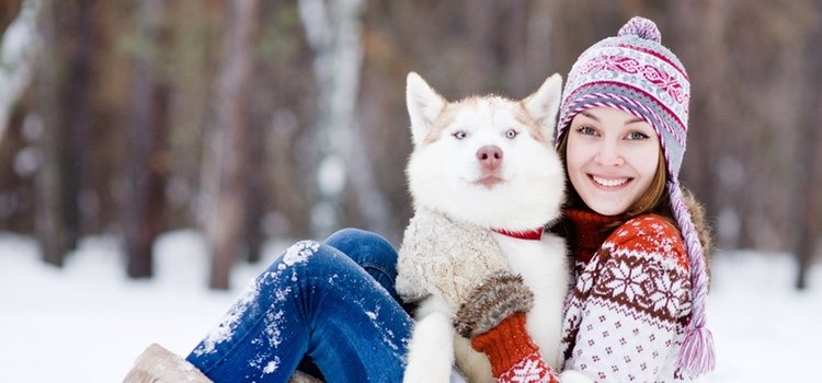 Los perros disfrutarán de la nieve como si volviesen a ser cachorros