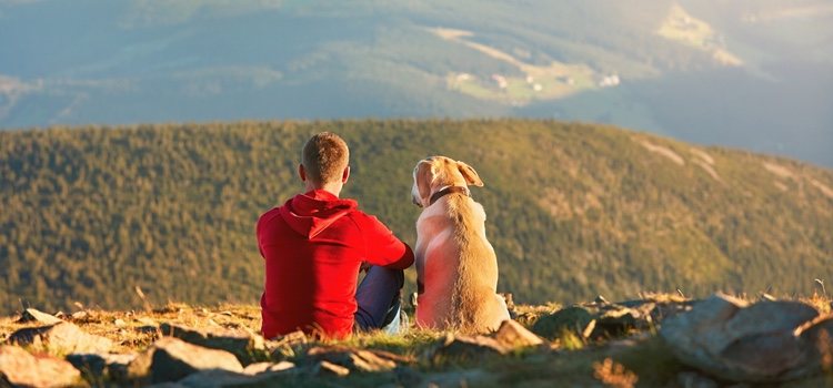 El senderismo es una actividad perfecta para realizar con perros