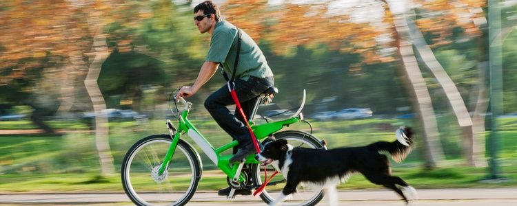 Para pasear en bici con tu perro es fundamental que se obediente y esté educado