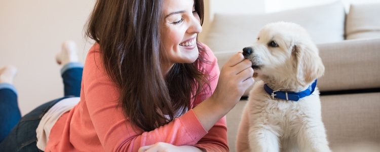 Tener un vínculo con tu mascota es de vital importancia para educarlo