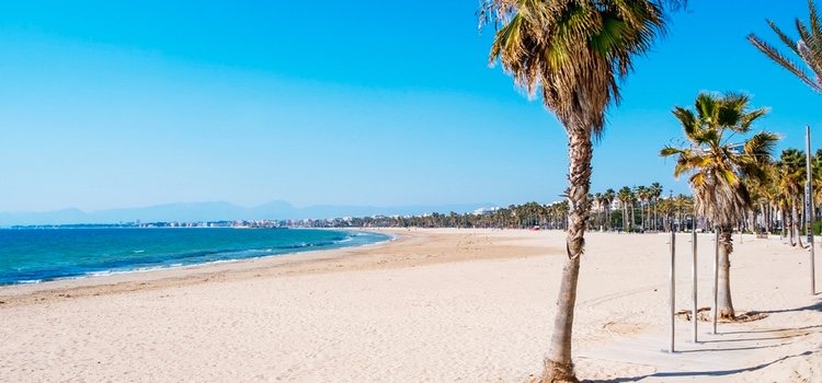 La Playa canina de Llevant solo está abierta en temporada de verano