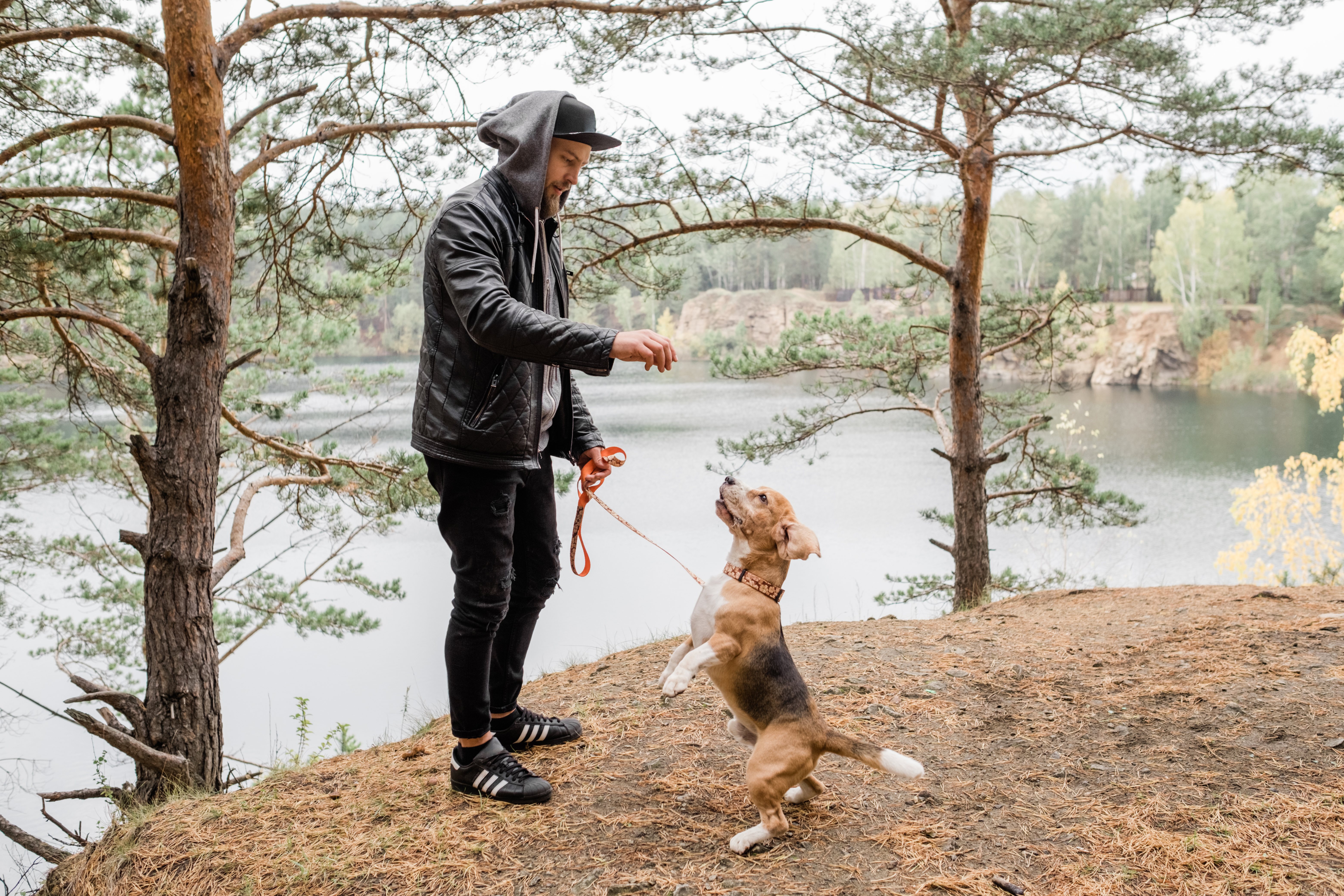 Hacer deporte y nada de chuches, elementos claves para que el perro adelgace