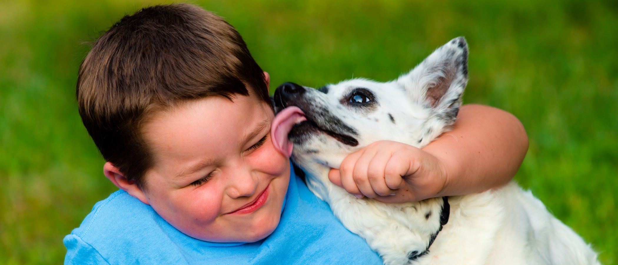 Por qué no tienes que dejar que tu perro te lama la cara