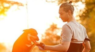 Perros de asistencia: cómo se educan para ayudar a las personas