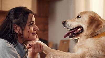 Cómo educar a un perro sordo