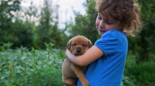 Cómo evitar que tu hijo se libre de cuidar a su perro