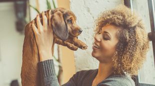 Consejos para cuidar a un perro recién nacido prematuro