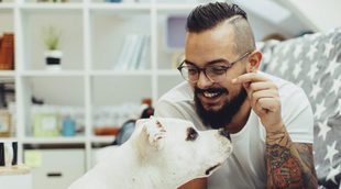 Hoteles a los que puedes ir con tu perro