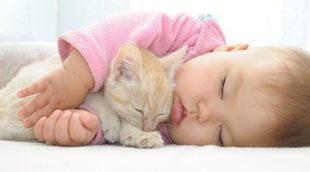 Gatos y bebés: ¿Es una buena combinación?