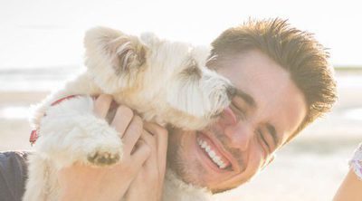 Las conductas más sorprendentes en los perros