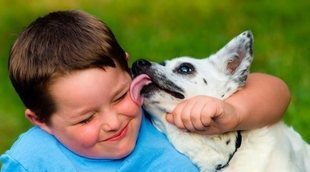 Por qué no tienes que dejar que tu perro te lama la cara