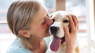 Celebrar San Valentín con tu mascota: un plan enriquecedor